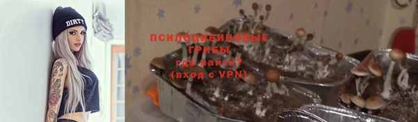 apvp Богданович