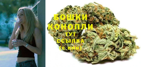 apvp Богданович